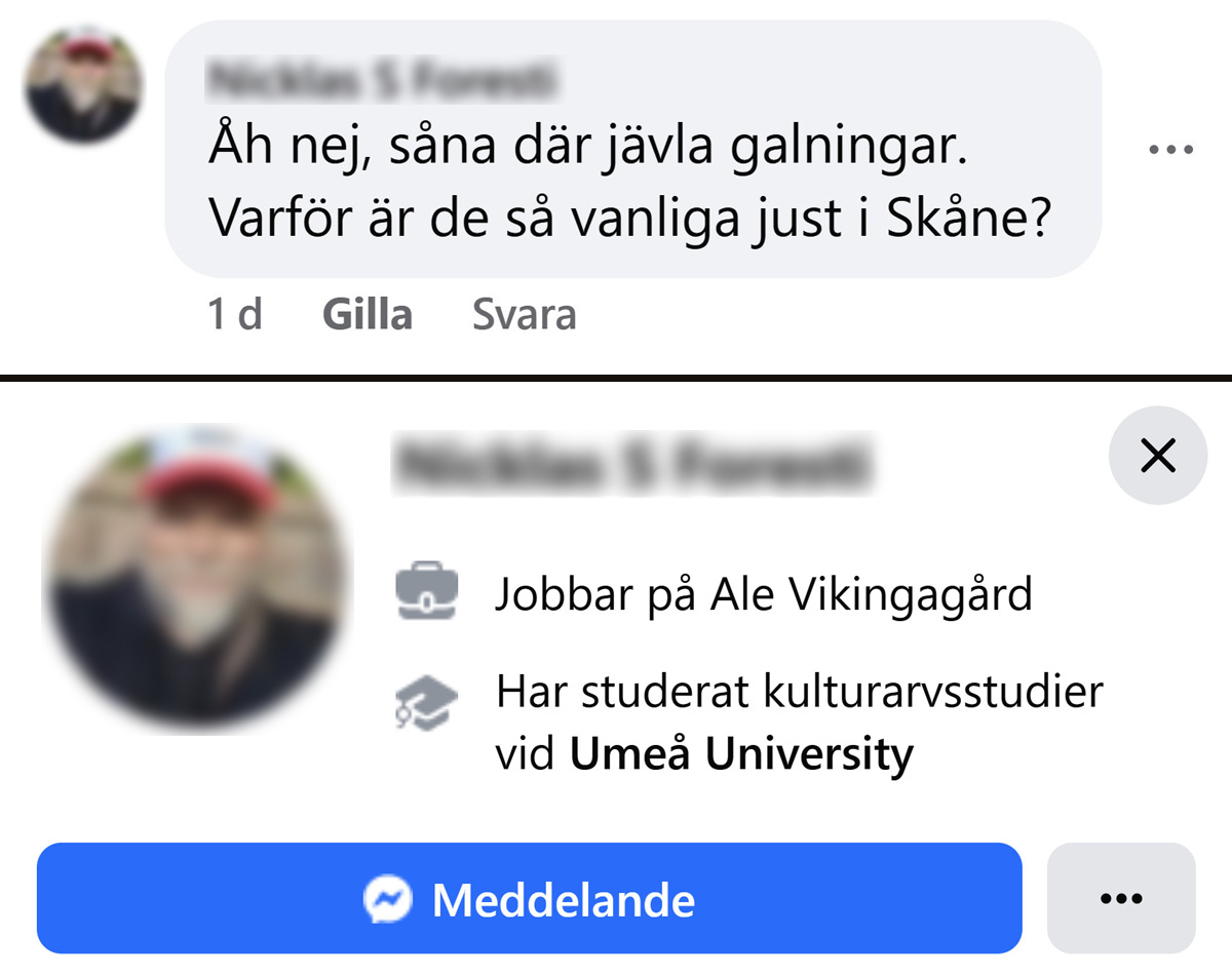 Näthat mot Lunds ideella turistinformation Destination Lund från en volontärerna hos Ale vikingagård