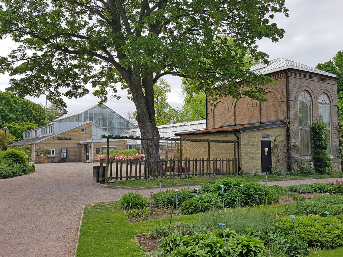 Botaniska trädgårdens växthus i Lund