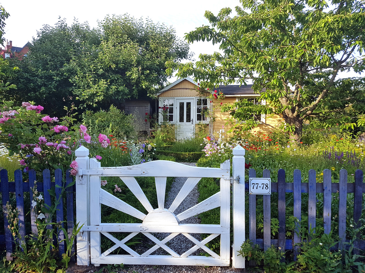 En vacker kolonilott i Sankt Månslyckans koloniområde i Lund i juni 2019