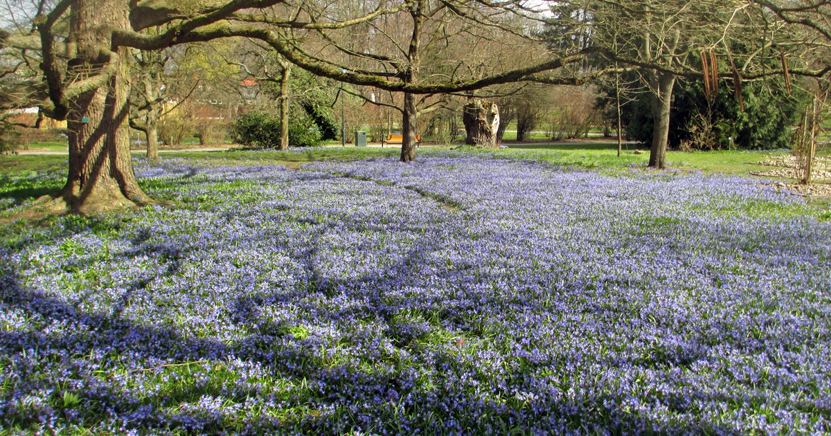 Botaniska trädgården i Lund