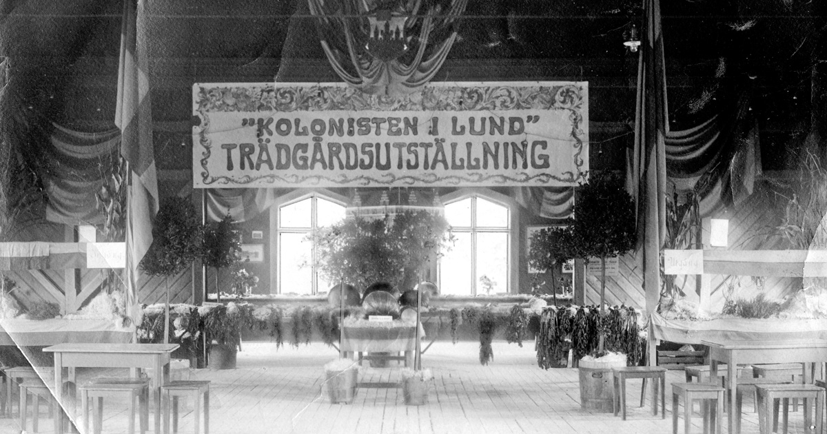 Lunds kolonisters utställning i Folkets Park 1917