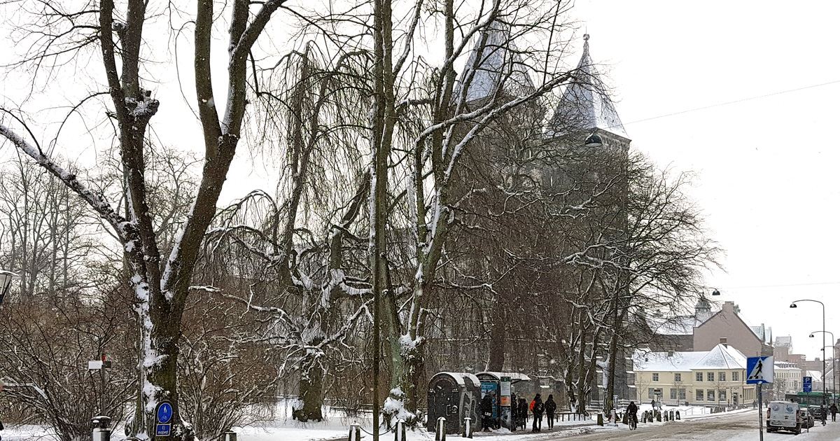 Vinterbild av Lunds domkyrka