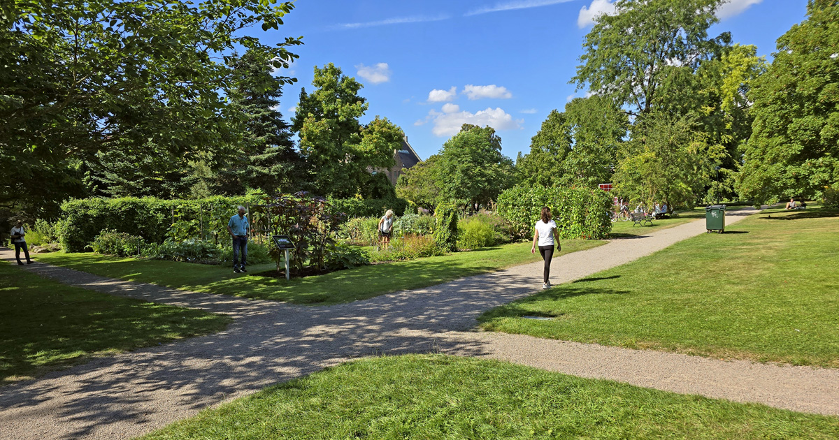 Botaniska trädgården i Lund