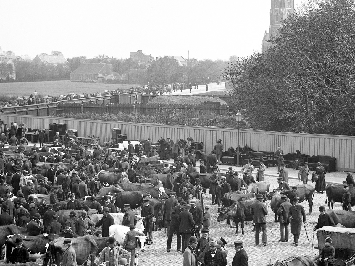 Clemenstorget i Lund på 1890-talet