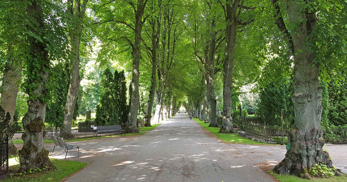 Norra kyrkogården i Lund med vacker grönska under sommaren