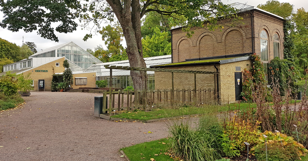 Botaniska trädgården i Lund